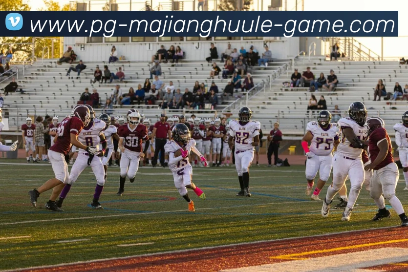 麻将胡了平台生态图